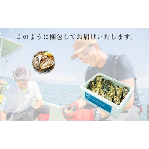 ふるさと納税 兵庫県 赤穂市 牡蠣 坂越かき 殻付き牡蠣 60個 軍手・オイスターナイフ付き[ 生牡蠣 かき カキ 殻付 生食