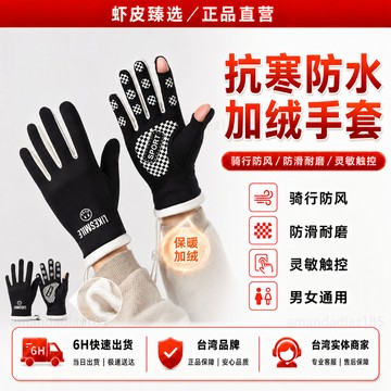 隔日達🏆蝦皮臻選🏆防寒手套 保暖 防寒 防風手套 防滑手套 摩托車手套 騎士手套 騎車手套 重機手套 滑雪手套 手套男女