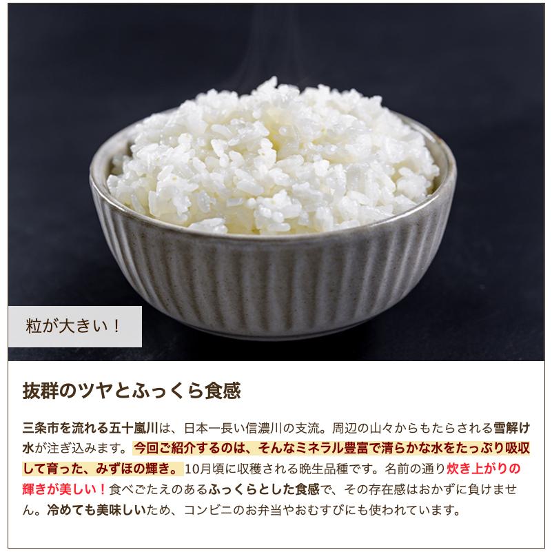 有機JAS認証米（無農薬・無化学肥料）新潟県産みずほの輝き 玄米10kg ファームフレッシュヤマザキ 送料無料