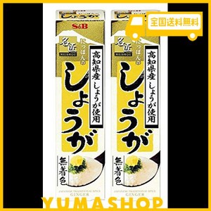 SB 名匠 にっぽんの しょうが 31G×2本