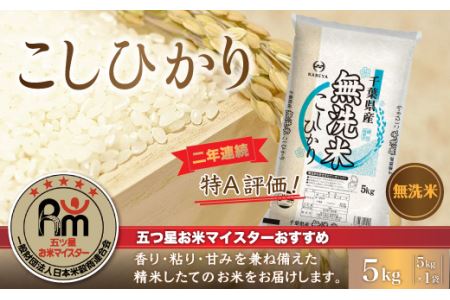 令和5年産 2年連続特A評価!千葉県産コシヒカリ5kg無洗米（5kg×1袋）