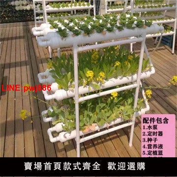 {台灣公司 可開發票}陽臺無土栽培水培蔬菜管道家庭室內水耕無土栽培設備全套室內家用