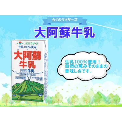 ふるさと納税 宇城市 大阿蘇牛乳 250ml×24本(宇城市)