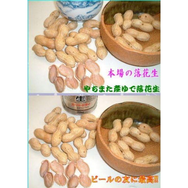 手もぎゆで落花生(ナカテユタカ)450g10個セット 千葉県八街産落花生