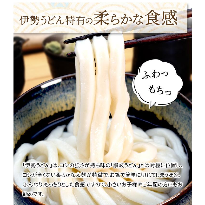 手打ち式伊勢うどん麺だけタイプ１０食入 つゆ無(簡易パッケージうどん） 送料無料 本場伊勢よりお届け 通販 伊勢うどん