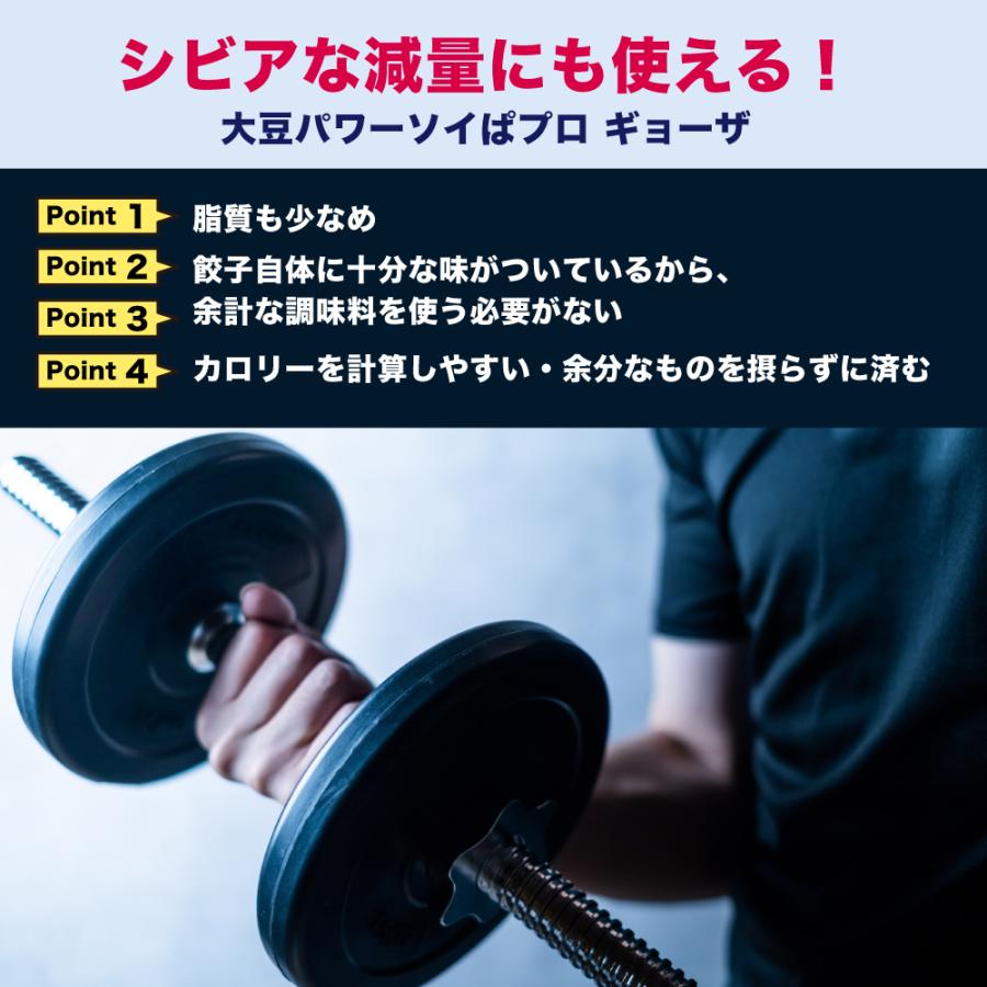  大豆パワー ソイプロギョーザ  送料無料 冷凍便 冷凍餃子 大豆ミート 餃子 ぎょうざ 大豆 ソイミート グルメ 食品 惣菜