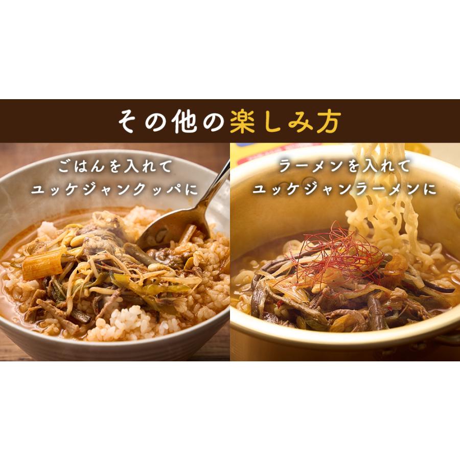 深夜のユッケジャン 1袋 400g (1人前) ユッケジャン TAKUNABE 本格 鍋 料理 お取り寄せ スープ グルメ ギフト 食品