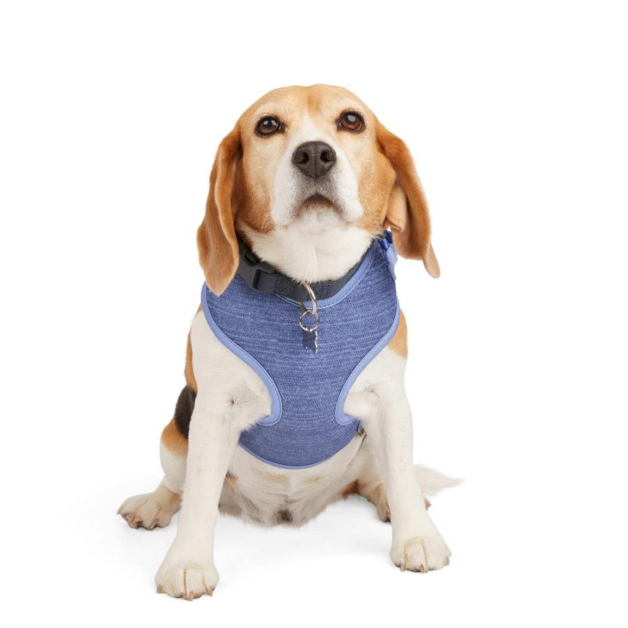 Petco brand cheap harness