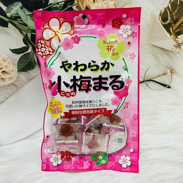 日本 一榮 小梅 甘酸梅 46g 使用紀州產梅 個別包裝｜全店$199免運