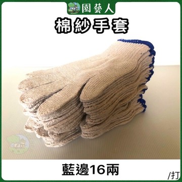 🌿園藝人🌿棉紗手套 藍邊16兩最便宜✨