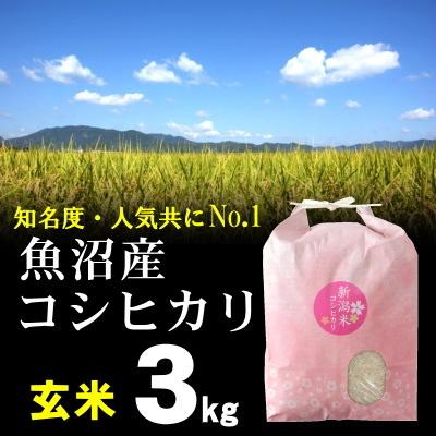 玄米 魚沼産コシヒカリ 3kg 米 お米   最高級銘柄 新潟 魚沼米 令和5年産 新米   人気 おいしい 新潟米 こしひかり 送料無料