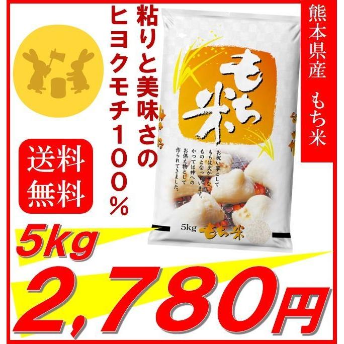 米　お米　もち米　熊本県産　令和５年産　５ｋｇ　送料無料