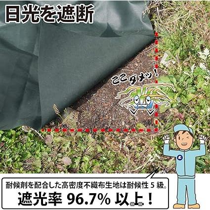 アストロ 防草シート 1×20m 厚手生地が日光をシャットアウト 敷くだけで雑草の生育を抑制(01_グリーン)