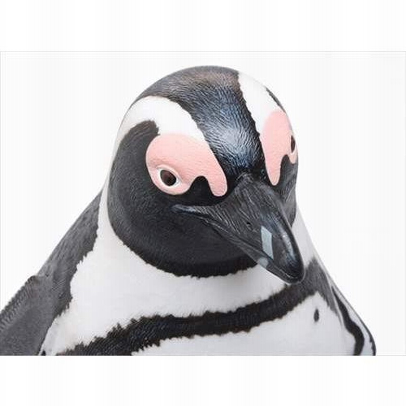 ペンギン 爬虫類 魚フィギュア ケース入り ケープペンギン グッズ ビッグサイズフィギュア ソフトビニール