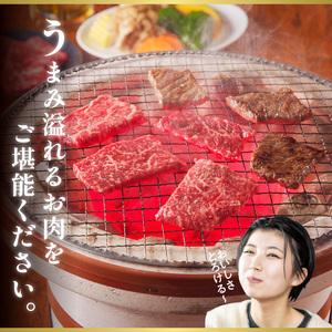 ふるさと納税 宮崎牛　プレミアム焼肉セット　N023-ZB101 宮崎県延岡市