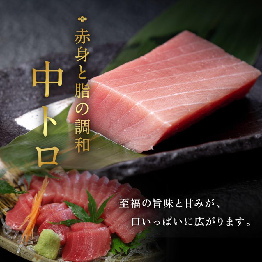 マグロ 本まぐろ 生まぐろ 国産生本マグロ 刺し身 冷蔵 大トロ 中トロ 赤身の食べ比べセット250グラム お取り寄せ お歳暮 プレゼント  年末年始 送料無料