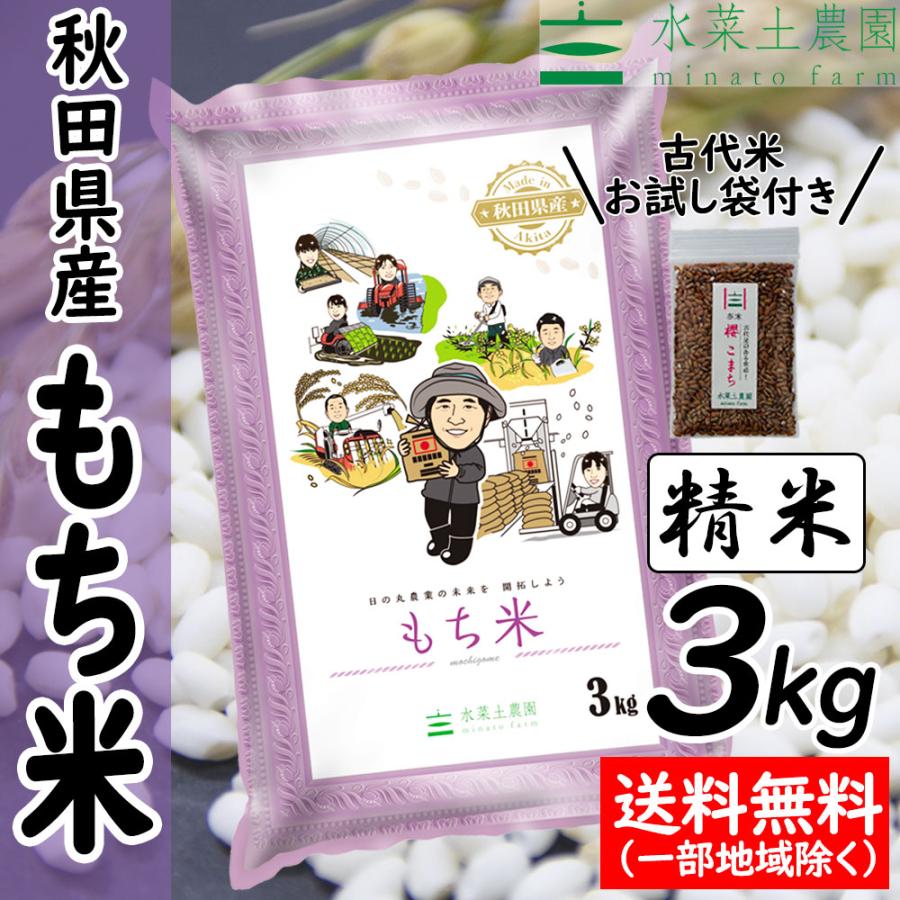 新米 米 もち米 きぬのはだ 3kg 令和5年産 秋田県産 農家直送 古代米お試し袋付き