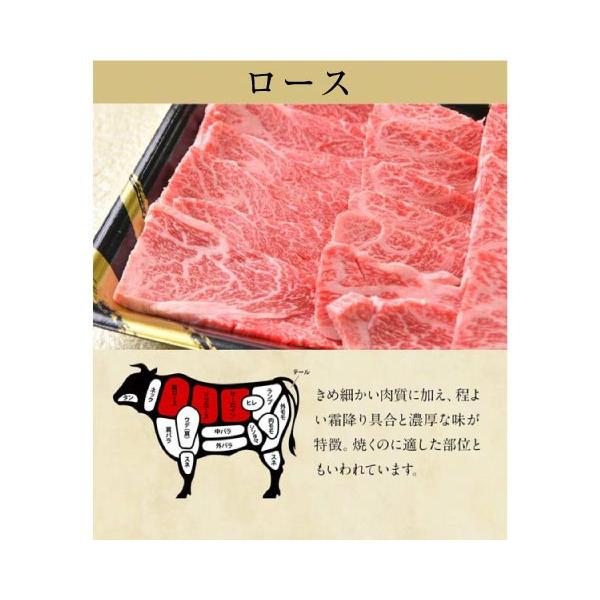 焼肉 肉 牛肉  和牛 A5等級 黒毛和牛 霜降りロース 250g 肉ギフト お取り寄せ グルメ