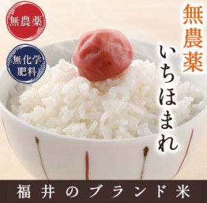 無農薬 玄米 米 5kg 無農薬 いちほまれ 令和5年福井県産 新米入荷 限定米 送料無料 無農薬・無化学肥料栽培 米・食味鑑定士認定