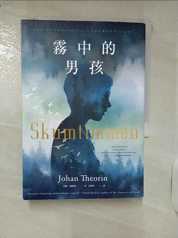 【書寶二手書T5／兒童文學_RQ3】霧中的男孩_約翰．提歐林,  宋瑛堂