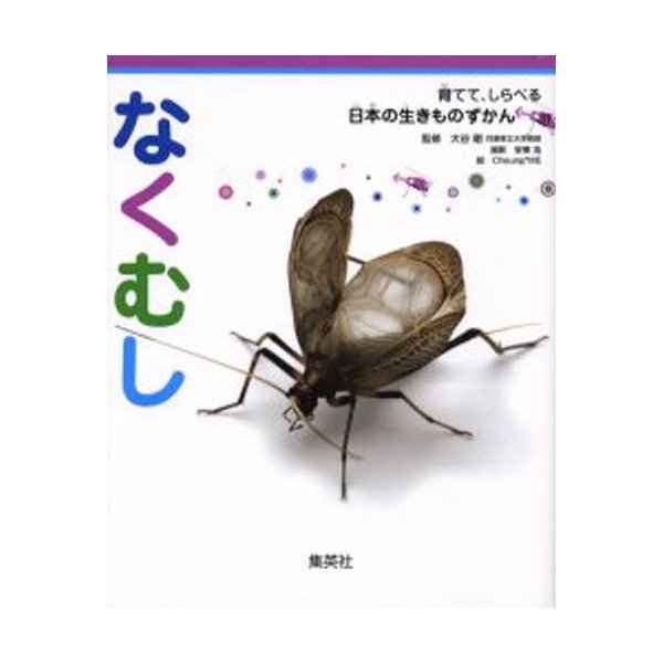 育てて,しらべる 日本の生きものずかん なくむし