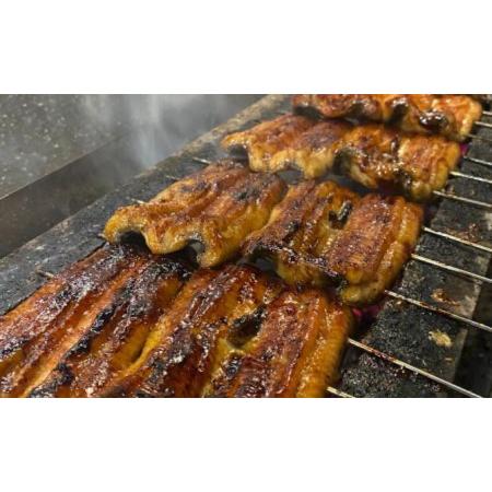 ふるさと納税 「炭焼き鰻 瞬」うなぎ蒲焼き5人前（浜名湖産）井川めんぱ入り 静岡県静岡市