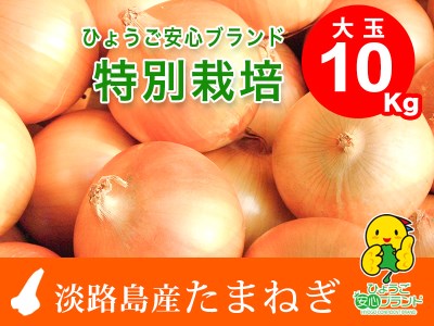 ひょうご安心ブランド★特別栽培★淡路島たまねぎ