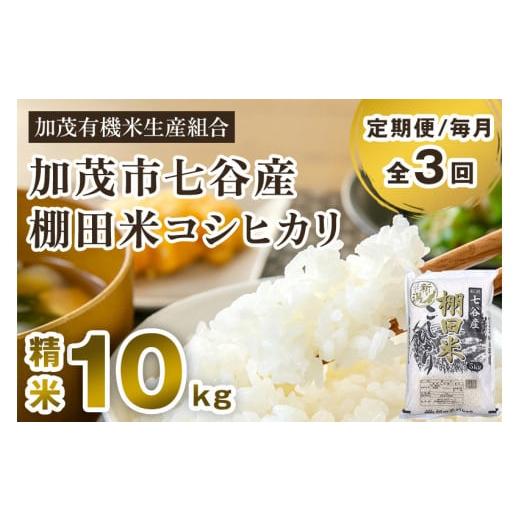 ふるさと納税 新潟県 加茂市 新潟県加茂市 七谷産 棚田米コシヒカリ 精米10kg（5kg×2）白米 加茂有機米生産組合