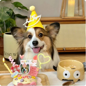 🐕‍🦺隔日到貨🐈‍⬛ 生日帽 派對帽 生日派對帽 生日佈置 寵物生日 貓咪生日 狗狗生日 寵物狗狗 寵物生日 生日佈置