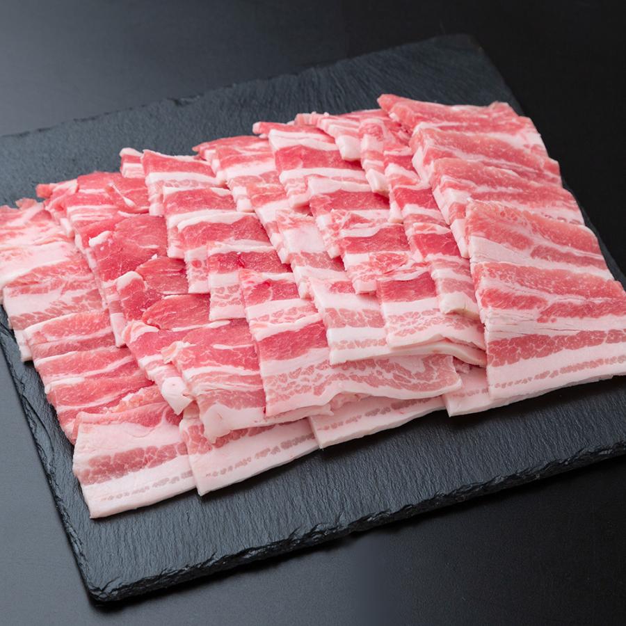 千葉県産 バナナパインポーク バラ焼肉（600g） 豚肉 冷凍 お取り寄せ お土産 プレゼント