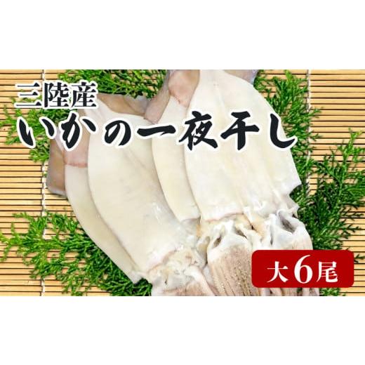 ふるさと納税 岩手県 大船渡市 イカ 一夜干し 大 6尾