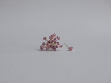 紙花，DIY，100 入，滿天星，100 入，尺寸 0.5 公分。粉色筆刷色彩。