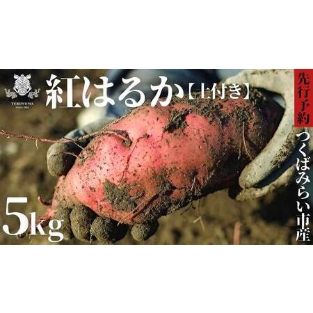 ふるさと納税  つくばみらい市産 さつまいも 紅はるか 土付き5kg サイズ未選別 サツマイモ つくばみらい いも 照沼 食物.. 茨城県つくばみらい市