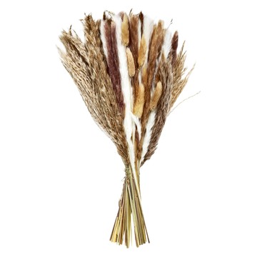 Goyo 乾燥花 CH-041 220g  杏色  總長約45cm