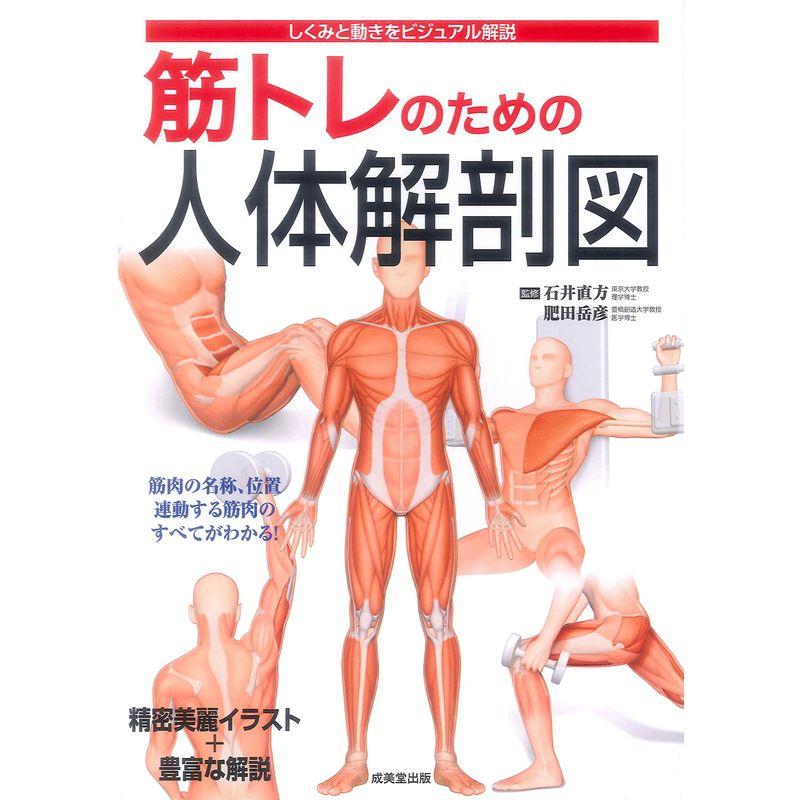 筋トレのための人体解剖図