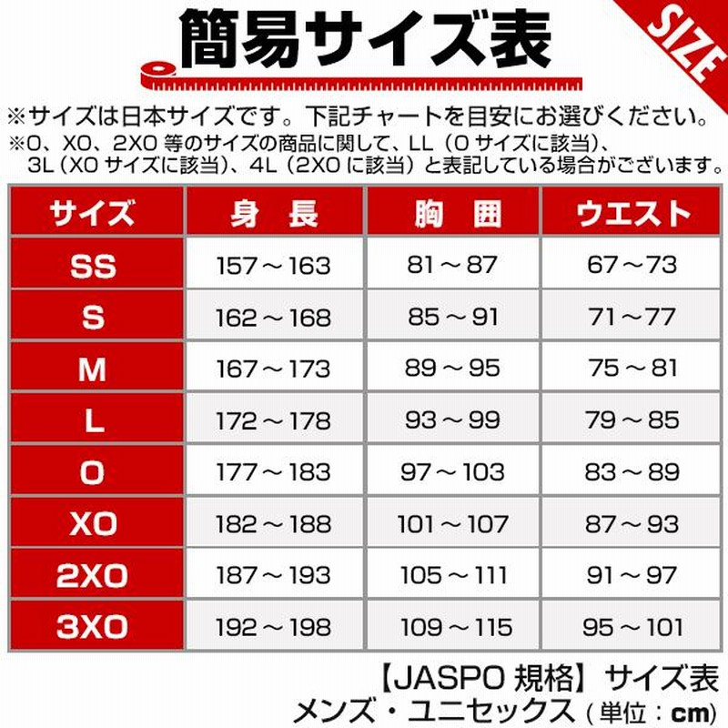 名前入り 選べる3タイプ 野球 ユニフォームシャツ ミズノ 昇華プリント