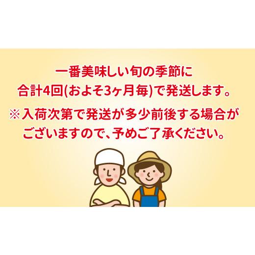 ふるさと納税 千葉県 柏市 柏市産　旬の美味しいフルーツ　全4回