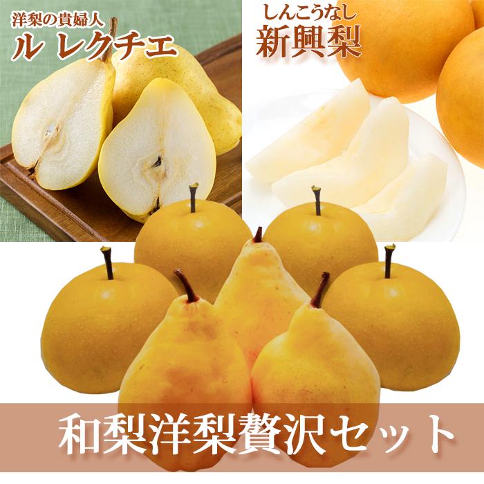 申込期間は12 15迄 和梨と洋梨の贅沢セット 秀品 ル レクチエ1kg 新興2kg 新潟県産 ナシ