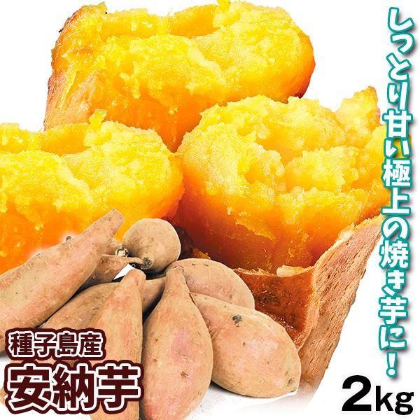 さつまいも 2kg 種子島産 安納芋 送料無料 食品