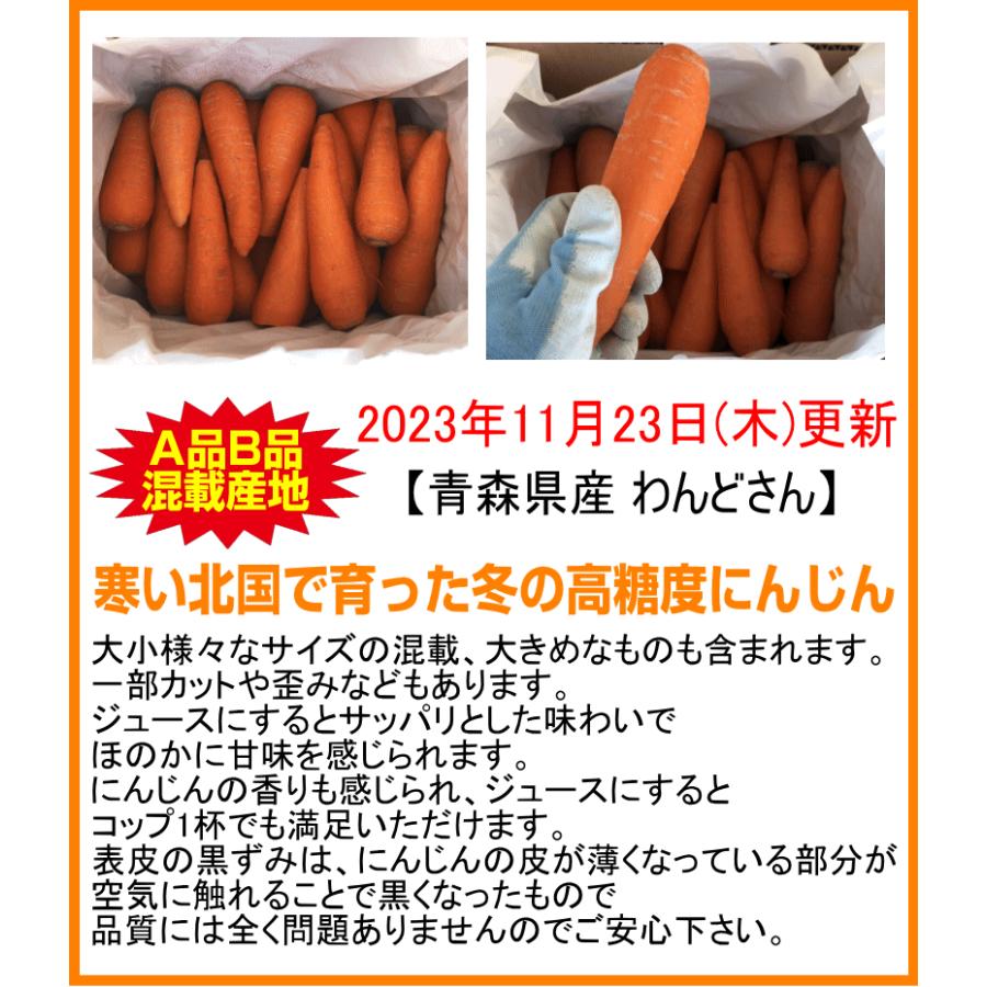 無農薬人参 ジュース用に最適 定期購入 産地が選べる無農薬にんじんＢ品５キロ×3回 計15キロ 訳あり 送料無料