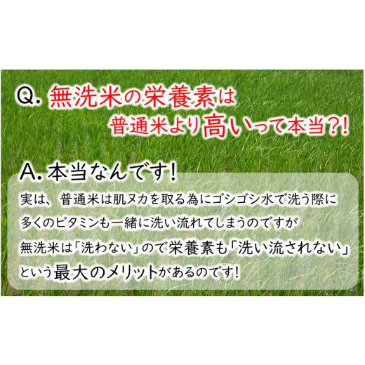 ふるさと納税 福井県 坂井市 福井県産 低農薬極上米 無洗米 10kg × 12回 計120kg 『あきさかり』[O-8801_04]