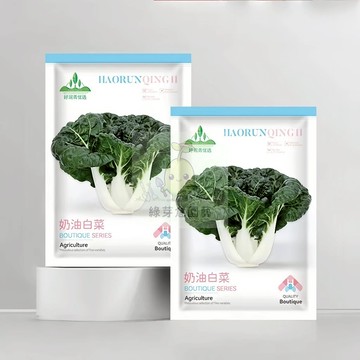🌱【原裝白菜種子】奶油白菜 出芽率超95%  耐寒耐熱性強 早熟品種 速生快長 易種植 抗病性強 盆栽 快菜蔬菜種子