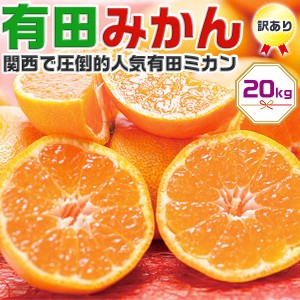 甘い完熟 訳あり 有田みかん 20kg 家庭用甘い小玉も混合有田ミカン 約10kg箱を2箱冬…