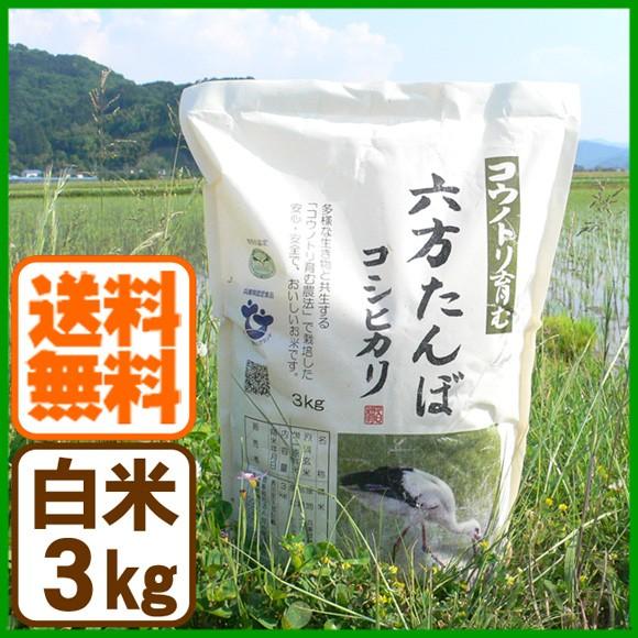 新米 コシヒカリ 白米 3kg 令和5年産 コウノトリ育む農法 送料無料 お米 兵庫県産