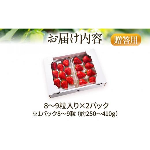 ふるさと納税 福岡県 田川市 福岡県田川市産 あまおう（8粒or粒9入り×2パック） いちご 苺