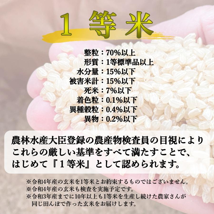 はぜかけ玄米 5kg 令和4年産 長野県産 コシヒカリ 農家直送