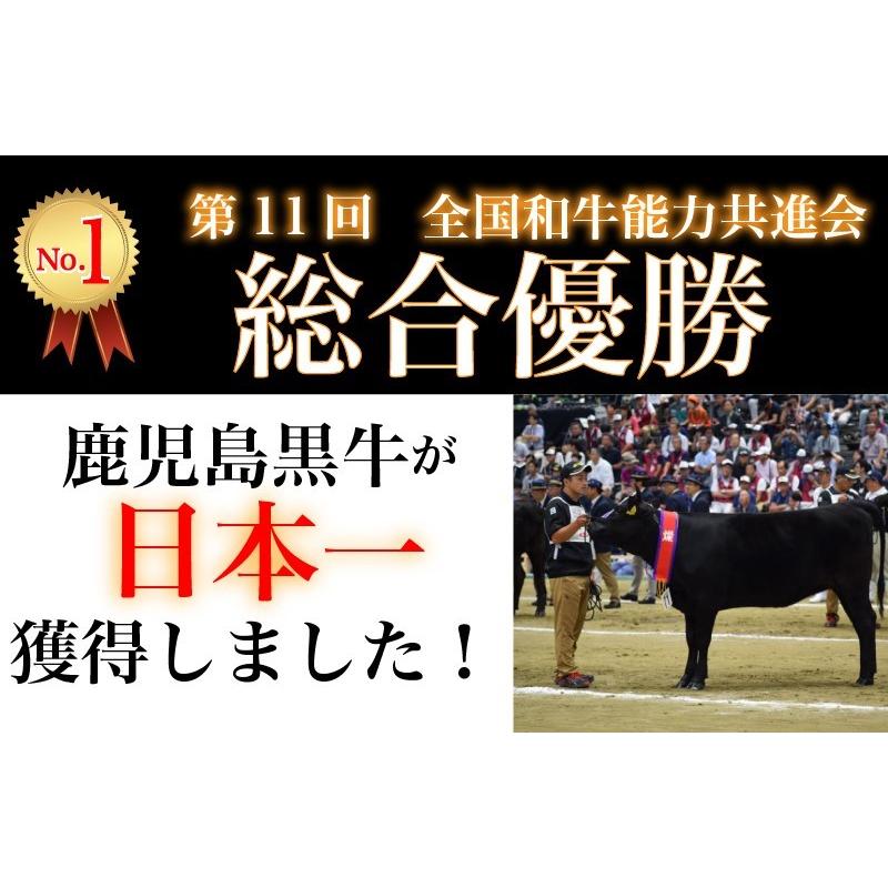 鹿児島黒牛熟成肉　ドライエイジングビーフ　モモステーキ　加熱用　100g × 10枚