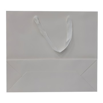 白卡紙袋 Set 10入 鋼紙板  32 x 11.5 x 28cm  白色  1組