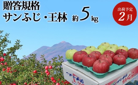 2月発送 贈答用 サンふじ・王林 約5kg 