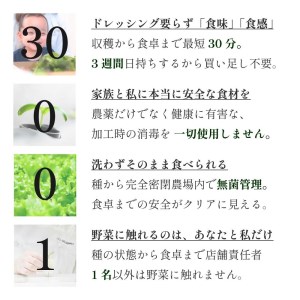 天神産「採れたて、無農不使用、無菌栽培」常備野菜5種詰め合わせ